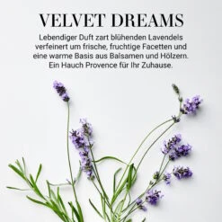 Raumduft No 3 "Velvet Dreams" 110ml HOME & SOUL In Transparent 9 Raumduft No 3 "Velvet Dreams" 110ml HOME & SOUL In Transparent -Einrichtungsgeschäft butlers raumduft no 3 velvet dreams 110ml home and soul in transparent 1