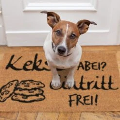 Fußmatte Kekse Dabei? Eintritt Frei! In Natur/Schwarz - 40 X 60 Cm -Einrichtungsgeschäft relaxdays fussmatte kekse dabei eintritt frei in natur schwarz 40 x 60 cm 4
